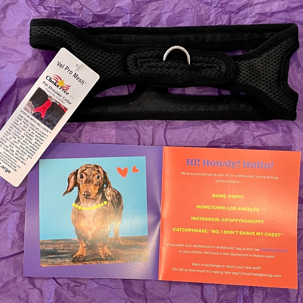 Witzig Dachshund Harness